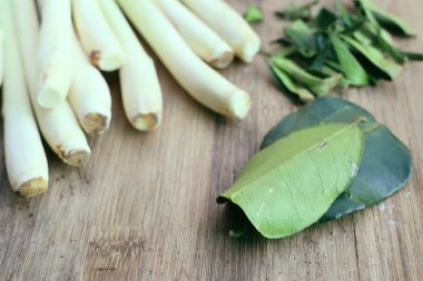 Limon otu ve Güney Afrika'da bir kabile kireç yaprakları