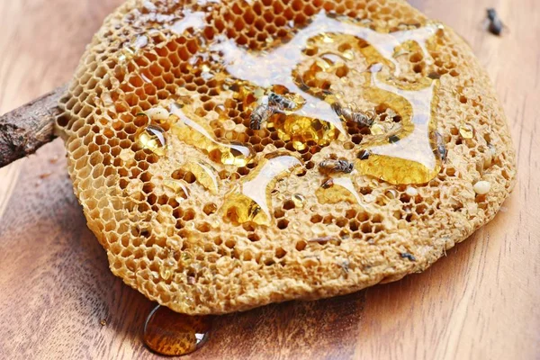Rayon de miel doux sur bois — Photo