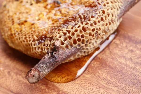 Zoete honingraat op houten — Stockfoto