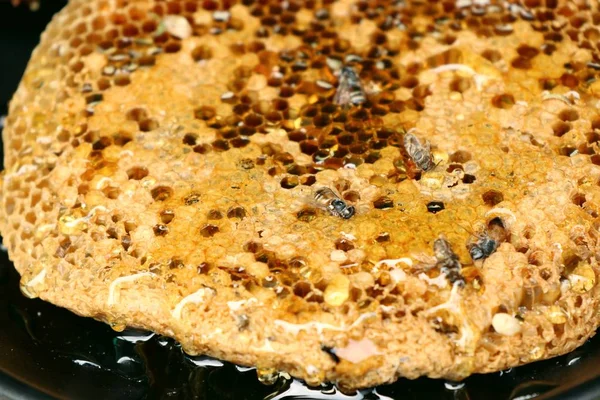 ahşap üzerinde tatlı petek