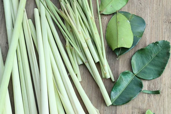 Limon otu ve Güney Afrika'da bir kabile kireç yaprakları