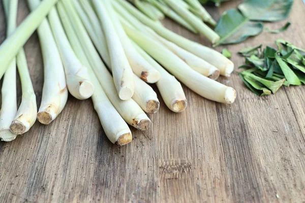 Limon otu ve Güney Afrika'da bir kabile kireç yaprakları