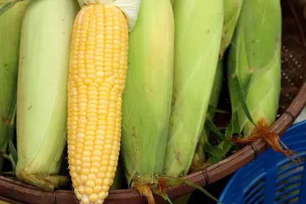 Markette taze Mısır