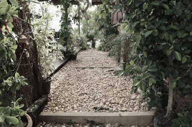 Parkta yürüyüş yolu