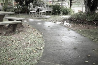 Parkta yürüyüş yolu