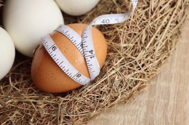 Yuvadaki yumurtalar