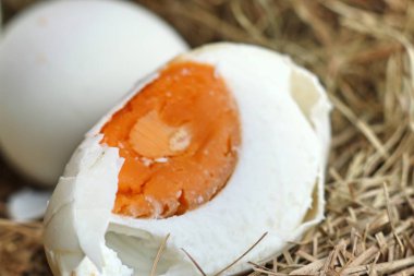 tuzlu yumurta yuvada