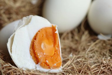 tuzlu yumurta yuvada