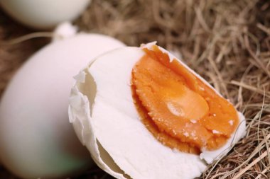 tuzlu yumurta yuvada