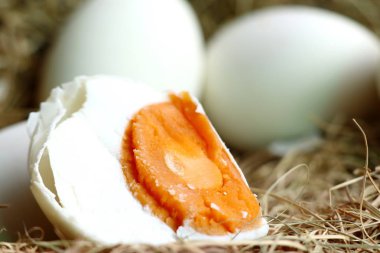 tuzlu yumurta yuvada