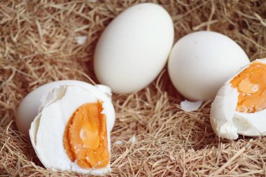 tuzlu yumurta yuvada