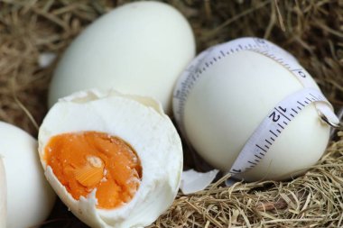 tuzlu yumurta yuvada