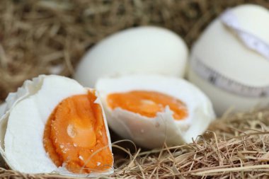 tuzlu yumurta yuvada