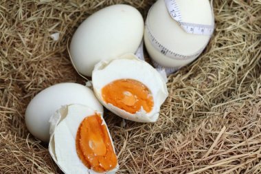 tuzlu yumurta yuvada