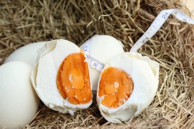 tuzlu yumurta yuvada