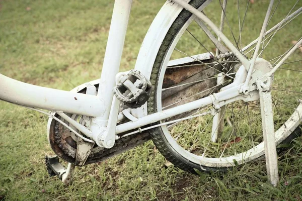 Beyaz Bisiklet bisiklet tekerleği