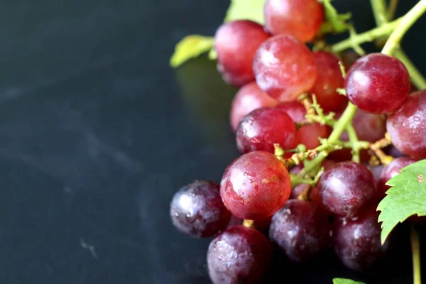 Ramo de uvas frescas — Foto de Stock