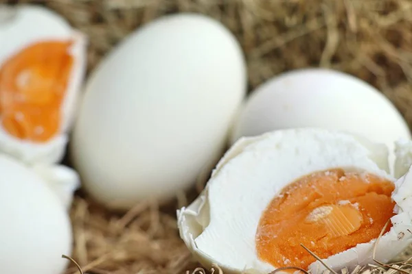 Соленое яйцо в гнезде — стоковое фото