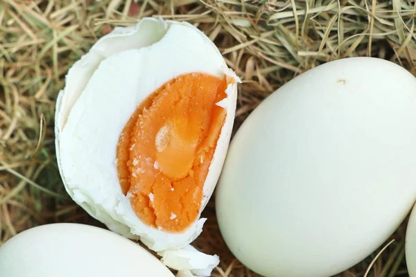 tuzlu yumurta yuvada