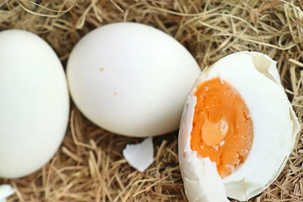 Gesalzenes Ei im Nest — Stockfoto