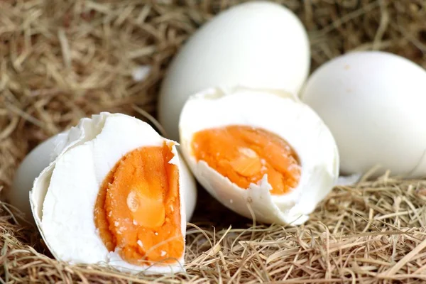 tuzlu yumurta yuvada