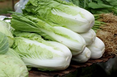 Çin lahanası sokak gıda