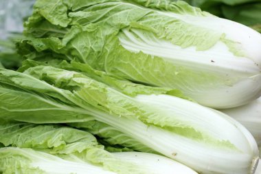 Çin lahanası sokak gıda