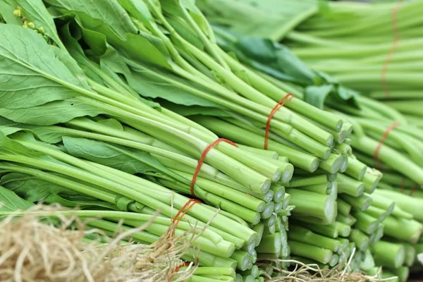 Choy im Streetfood — Stockfoto