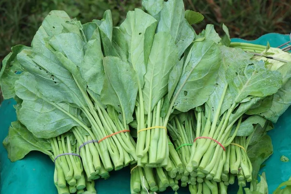 Kale no mercado — Fotografia de Stock