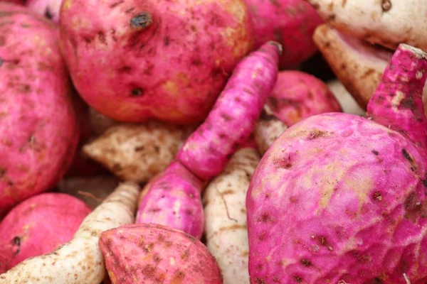 Biologische rode zoete aardappel yam — Stockfoto