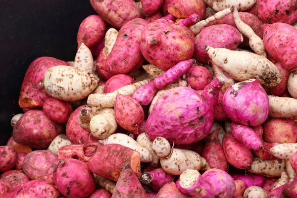 Organik kırmızı tatlı patates yam