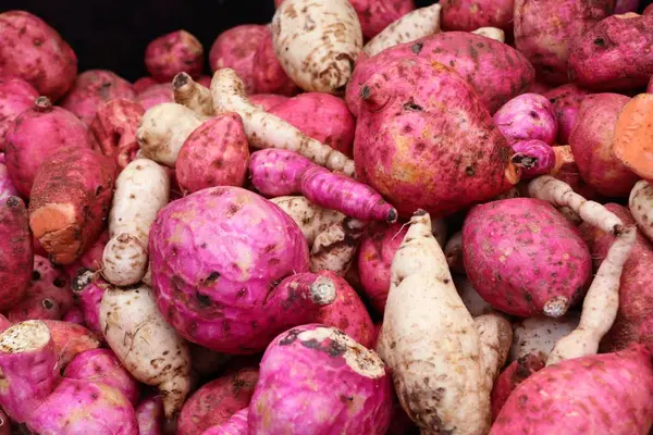 Organik kırmızı tatlı patates yam