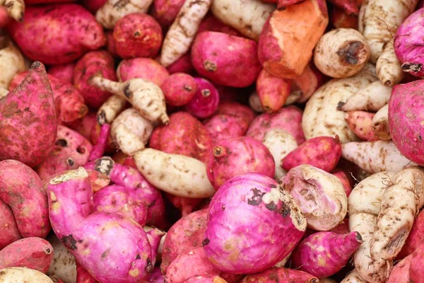 Organik kırmızı tatlı patates yam