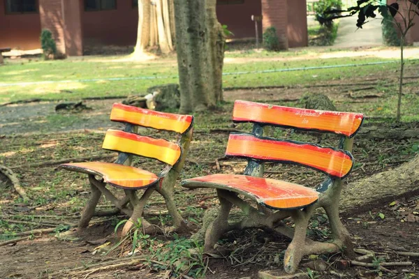 Bench in the park — Stock Photo, Image