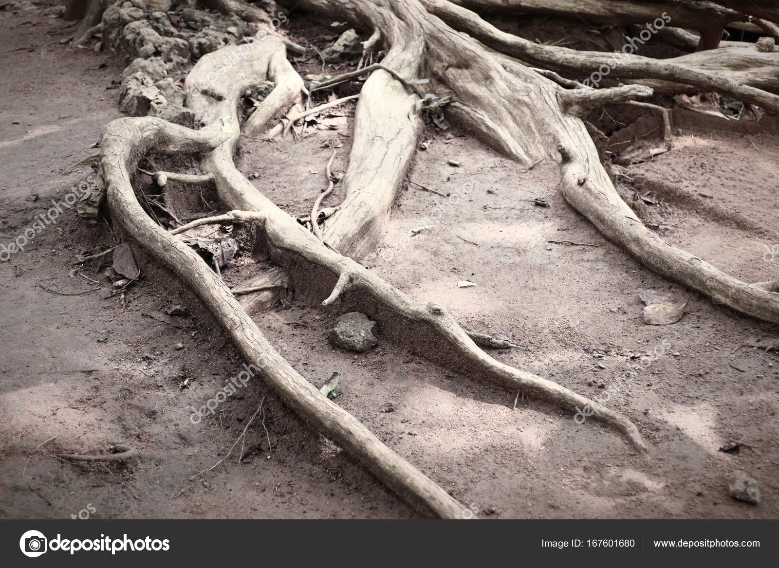 Skeleton Human Sitting On The Wooden Bench In Park Halloween