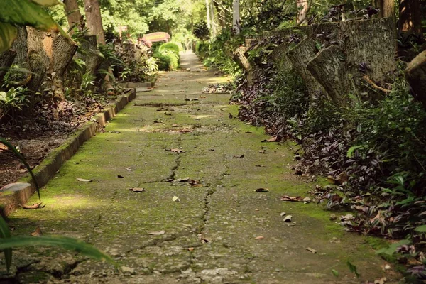 Passerella nel parco — Foto Stock