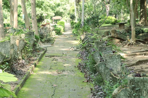 公園内の歩道は — ストック写真