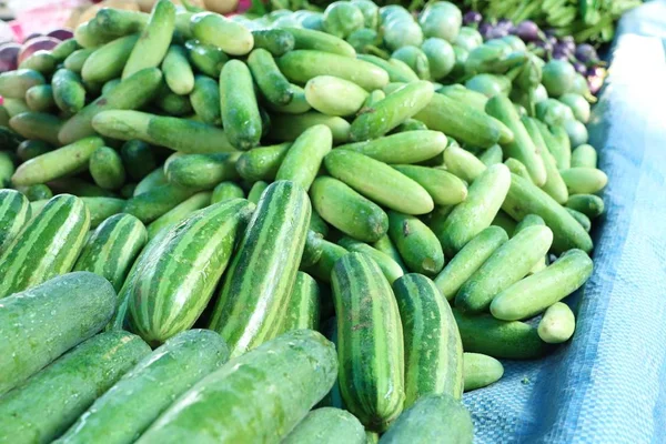Cucumber in the market — Stock Photo, Image