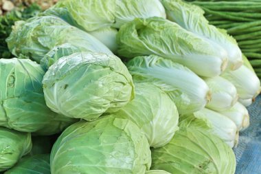 Markette taze lahana