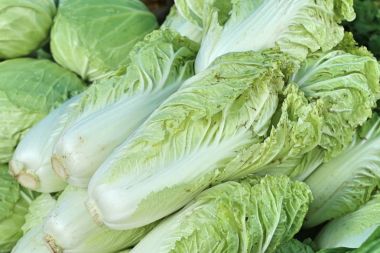 Markette Çin lahanası