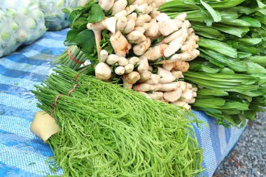 Akasya pennata Market