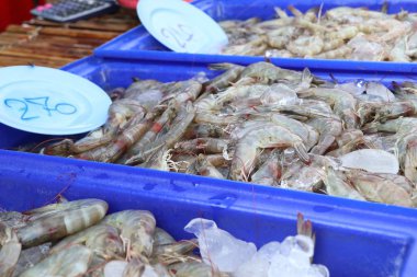 Pazarda taze karides.