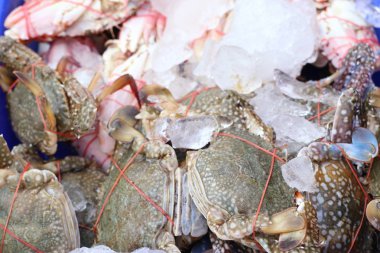 Taze Yengeç sokak gıda