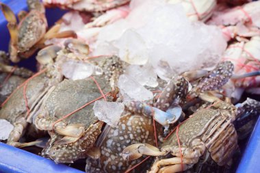 Taze Yengeç sokak gıda