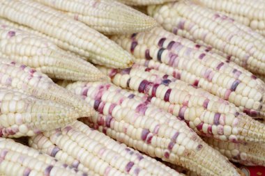 Markette taze Mısır