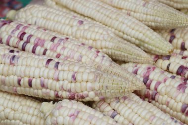 Markette taze Mısır