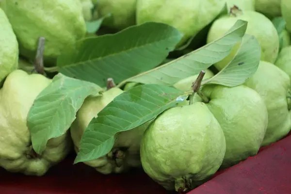 Guava meyve sokak Road