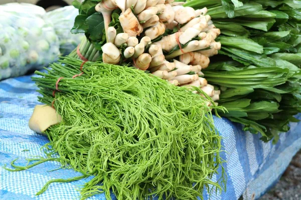 Akasya pennata Market