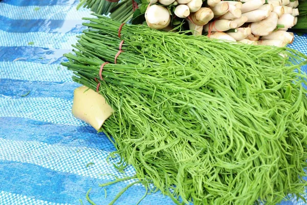 Akasya pennata Market