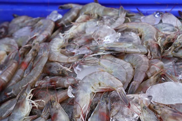 Fresh shrimp at the market — Stock Photo, Image